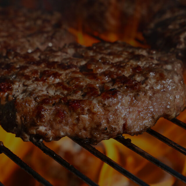 menu-hamburger2s